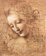 LEONARDO da Vinci Madchenkopf with confused hair china oil painting reproduction